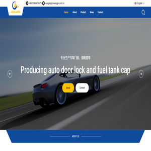 瑞安市王金汽车配件有限公司