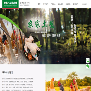 六安养鸡场_六安五黑鸡_六安土鸡采购_六安散养土鸡_金寨八斗湾农场
