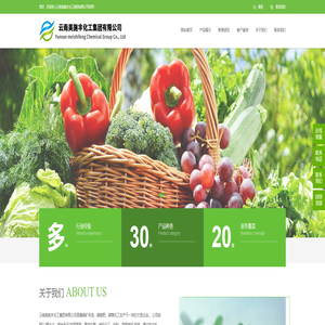 云南美施丰化工集团有限公司