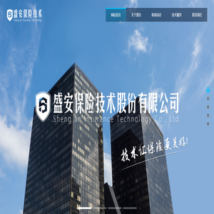 盛安保险技术股份有限公司-中国首家保险技术机构