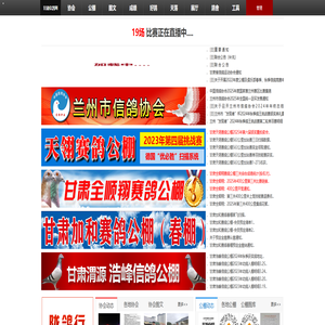 甘肃信鸽网-甘肃最大的信鸽网站