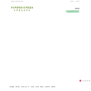 新品种梨树苗示范种植基地