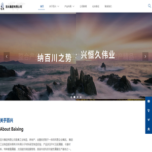 首页-百兴集团有限公司