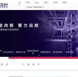 南京辰洋电力官网