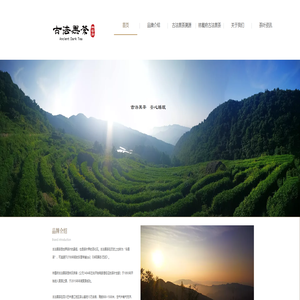 黑茶的功效与作用_四川黑茶_古法黑茶_林蜀府