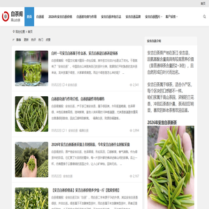 兰花香安吉白茶价格多少钱一斤【图片、品牌、批发】高山白茶礼盒装 | 白茶阁