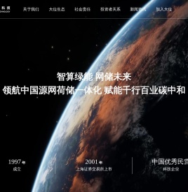 大位数据科技（广东）集团股份有限公司