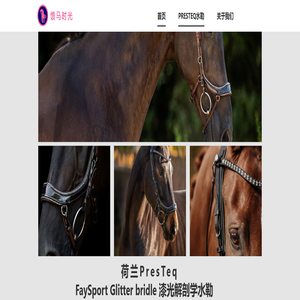 FaySport Glitter 水勒 - 馈马时光