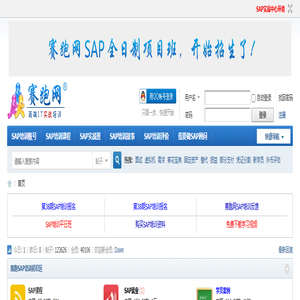 SAP培训_SAP系统_20年的SAP实战经验教学