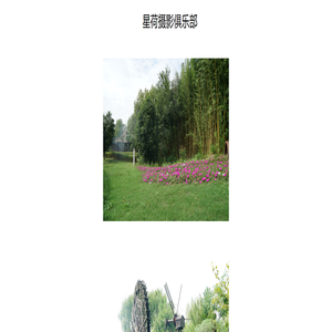 星荷摄影俱乐部