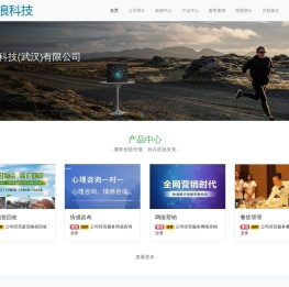 大浪科技（武汉）有限公司-大浪科技（武汉）有限公司