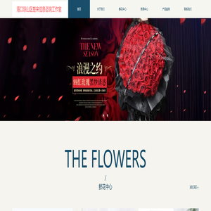 海口琼山区楚来信息咨询工作室