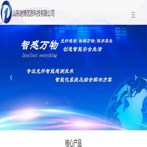 山东迪博信息科技有限公司